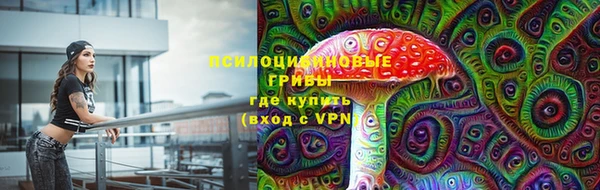 Альфа ПВП Бородино