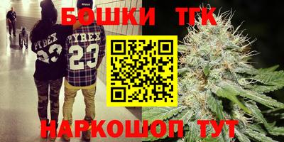 амф Гай