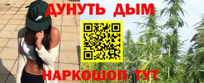 амф Гай