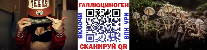 Псилоцибиновые грибы MAGIC MUSHROOMS  Гудермес 