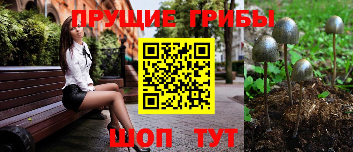 Галлюциногенные грибы прущие грибы  Вход с VPN  Псилоцибиновые грибы Psilocybine cubensis  Гудермес 